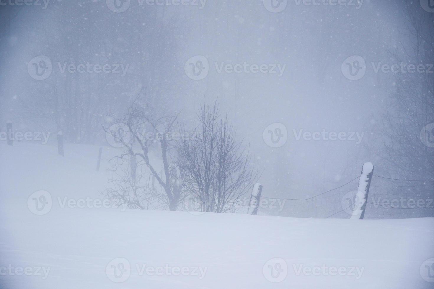 winter landscape in Austrian Alps photo