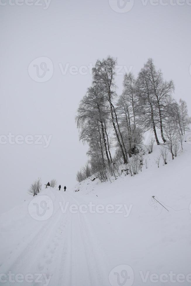 Winter landscape in Austrian Alps photo