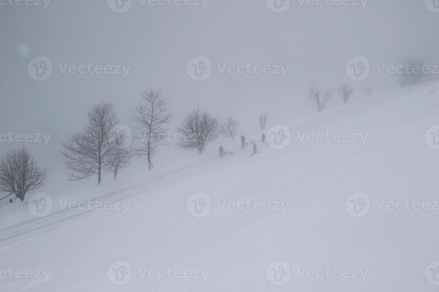 winter landscape in Austrian Alps photo