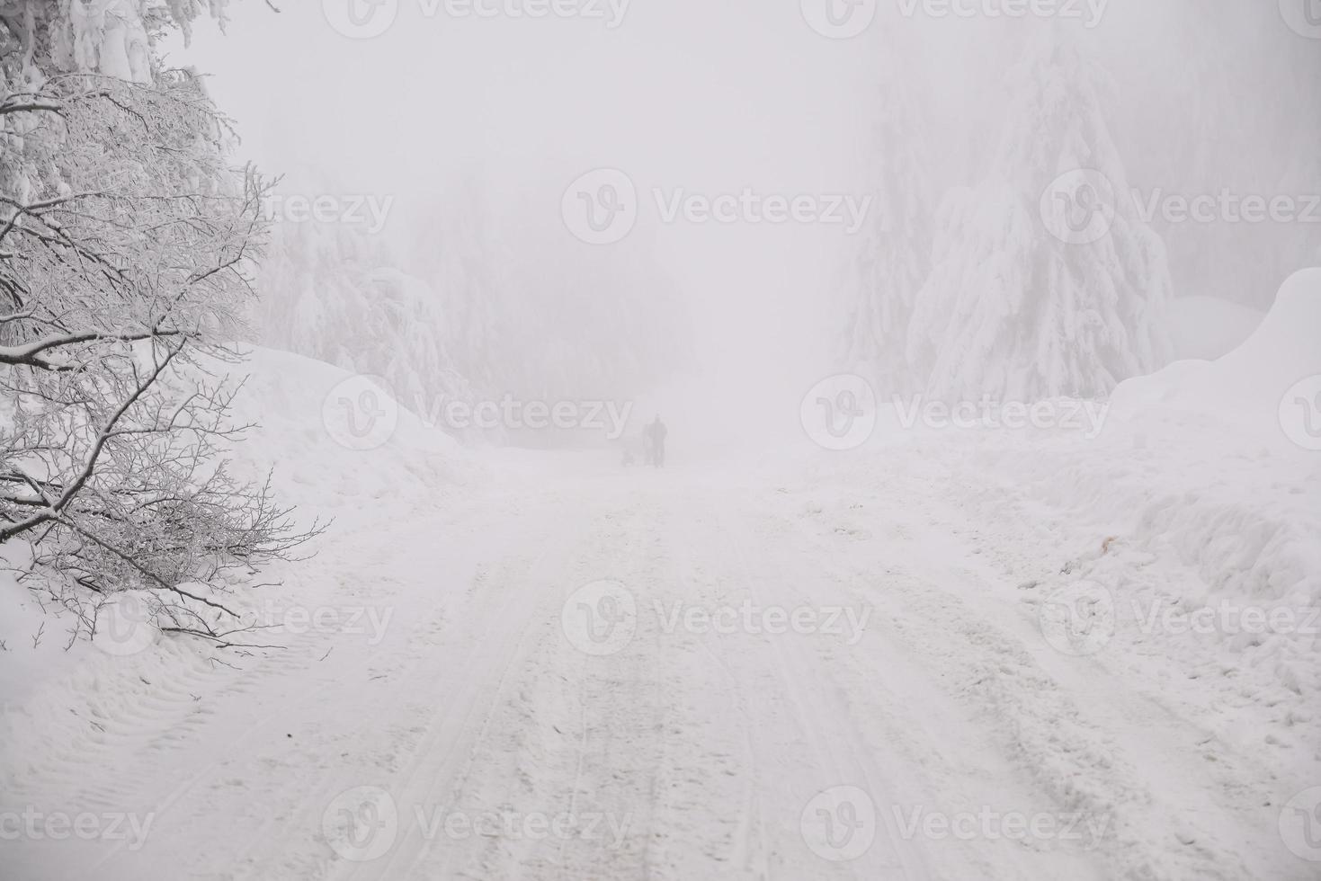 mountain forest landscape on a foggy winter day photo