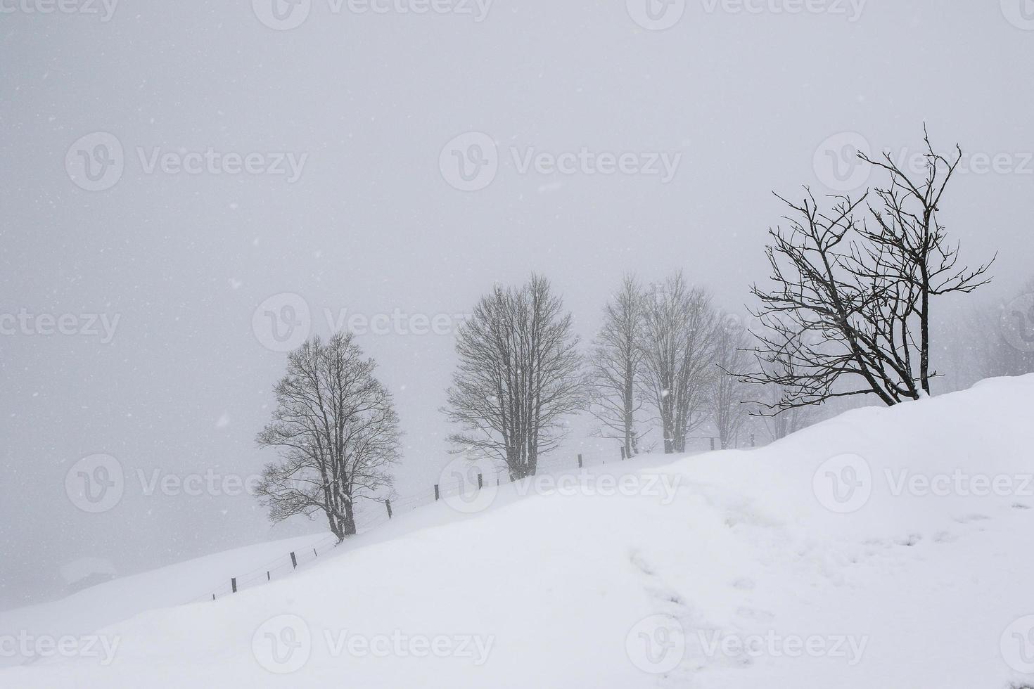 winter landscape in Austrian Alps photo