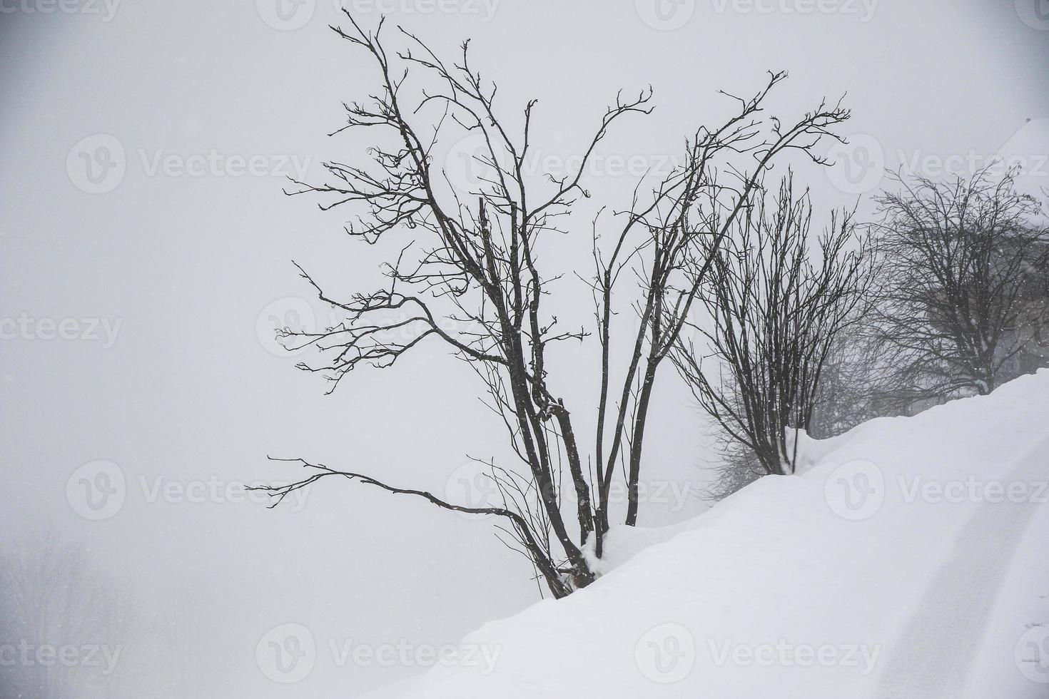 winter landscape in Austrian Alps photo