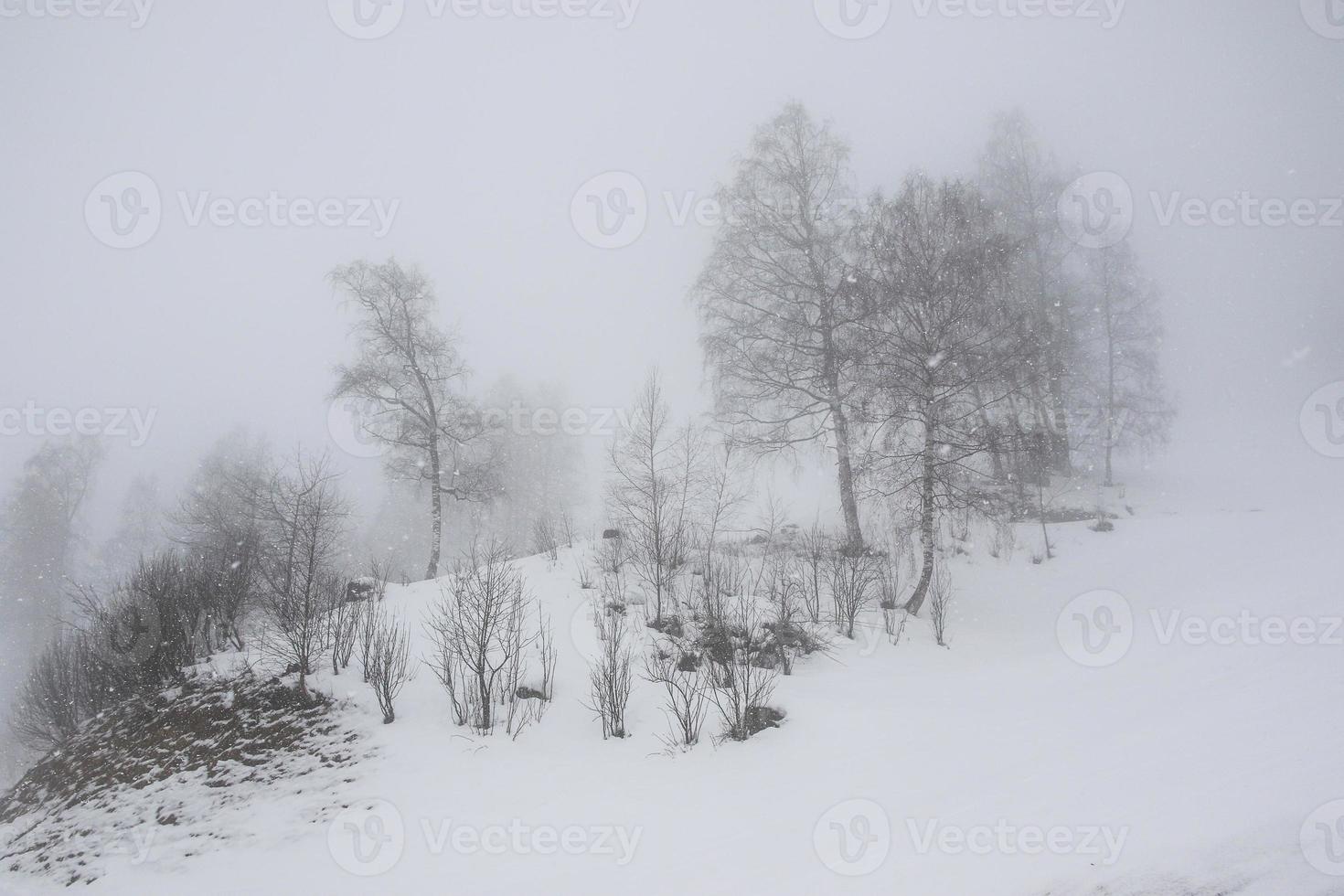 paisaje invernal en los alpes austríacos foto