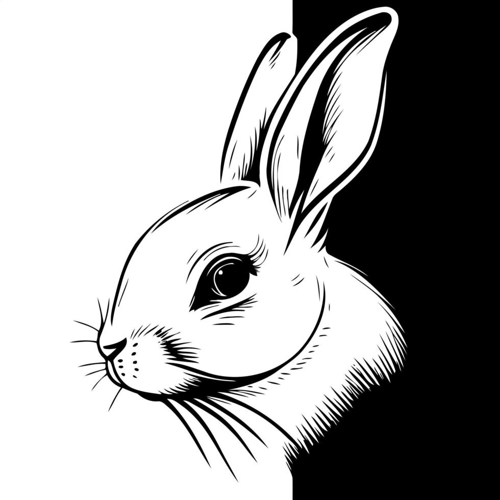 Bunny rabbit mammal animal head vector