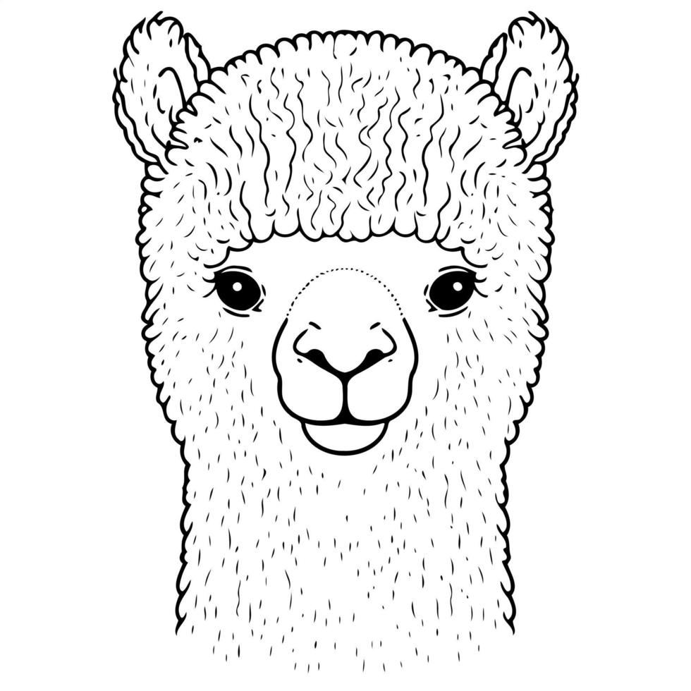 cabeza de animal camélido llamado alpaca vector