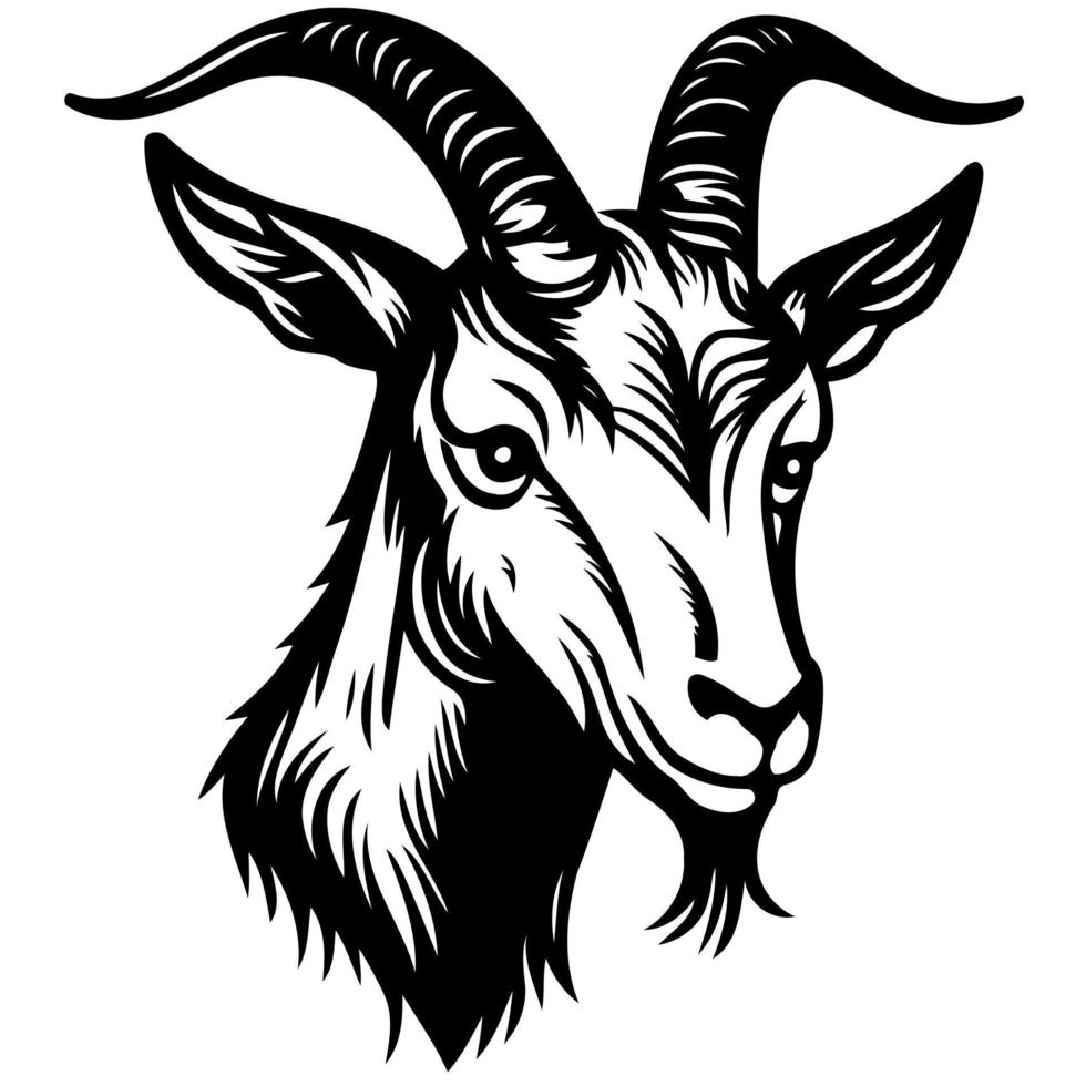 animal head domestic goat vector