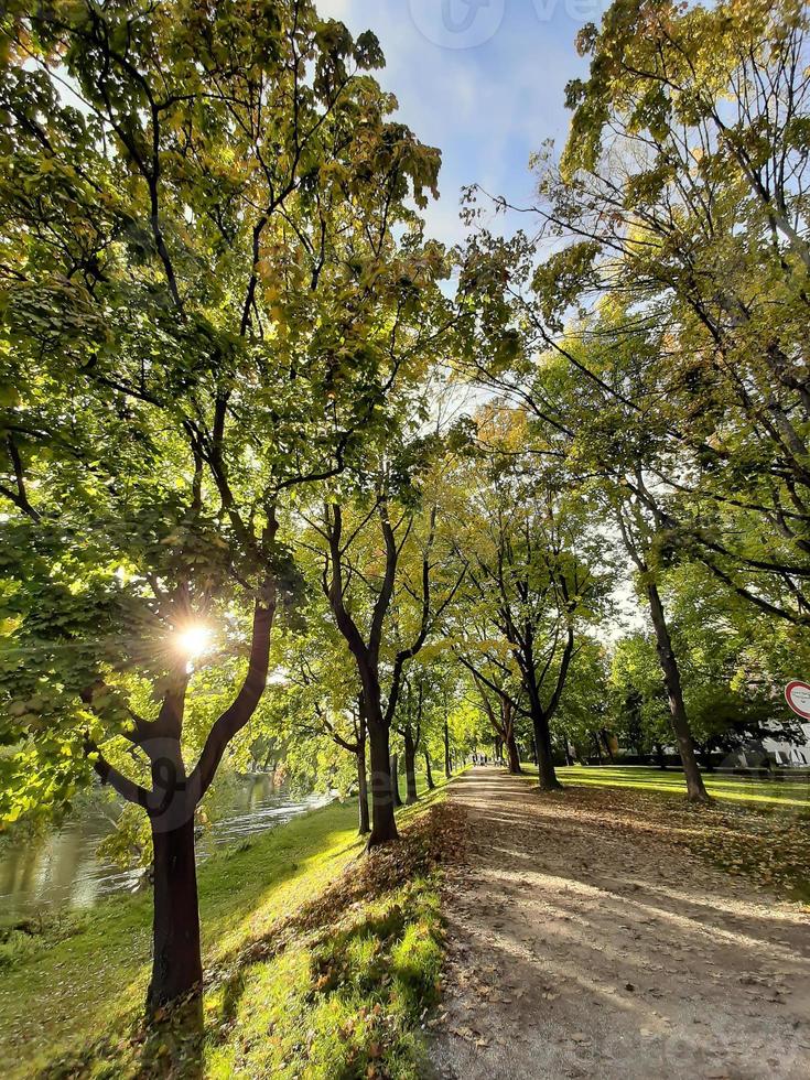 caminando en un hermoso día de primavera en el parque foto