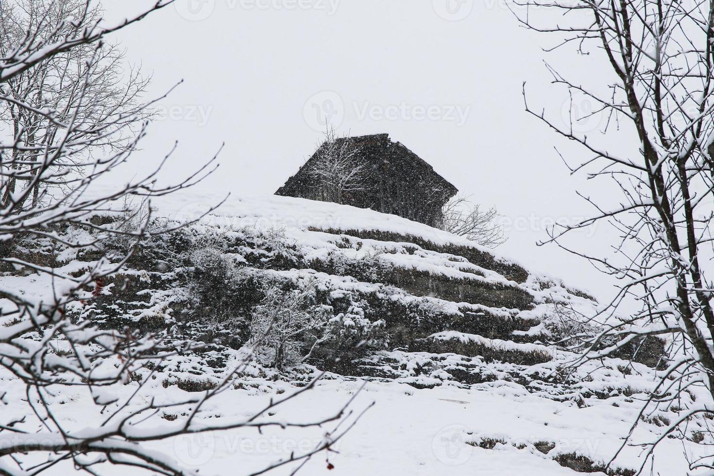 Winter landscape in Austrian Alps photo