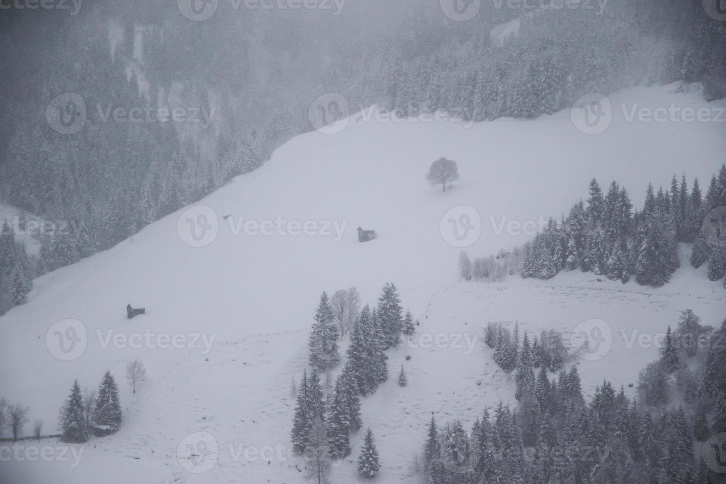 Winter landscape in Austrian Alps photo