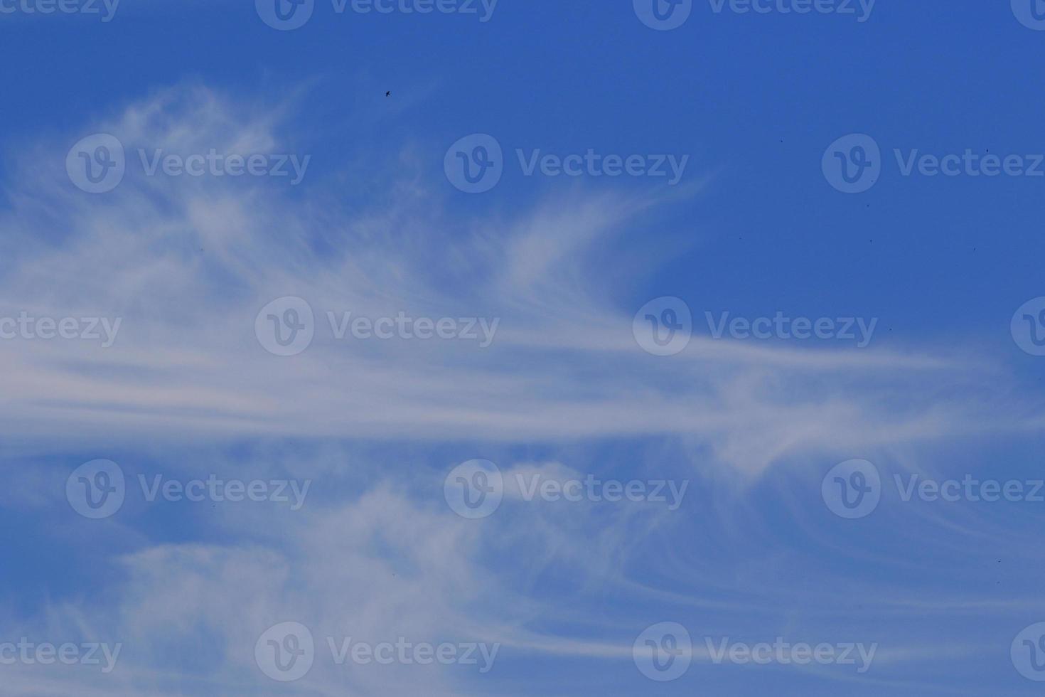 Clear blue sky and white clouds photo