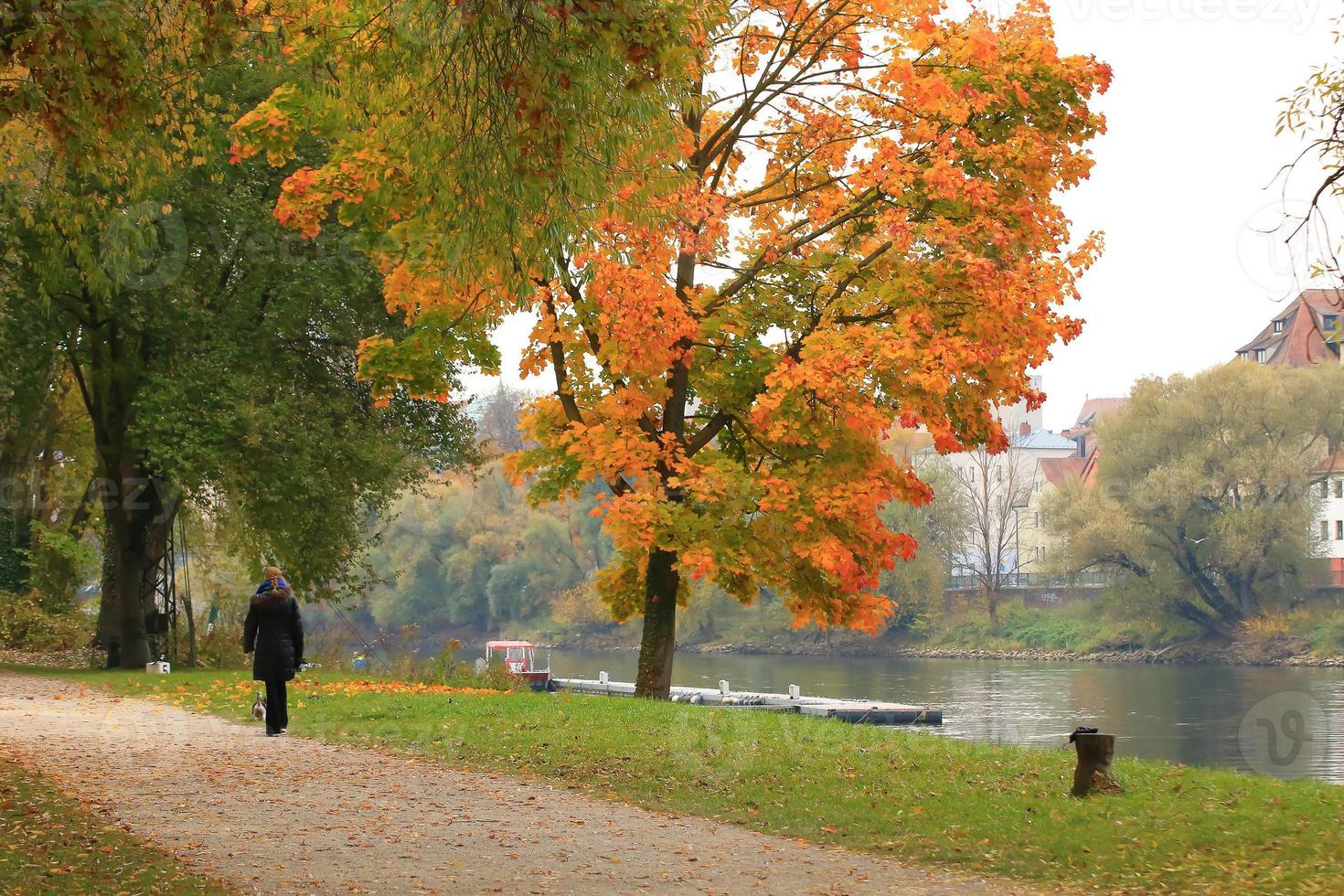 Happy young woman walking with her dog in park photo