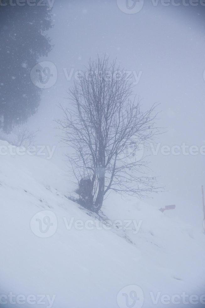 paisaje invernal en los alpes austríacos foto