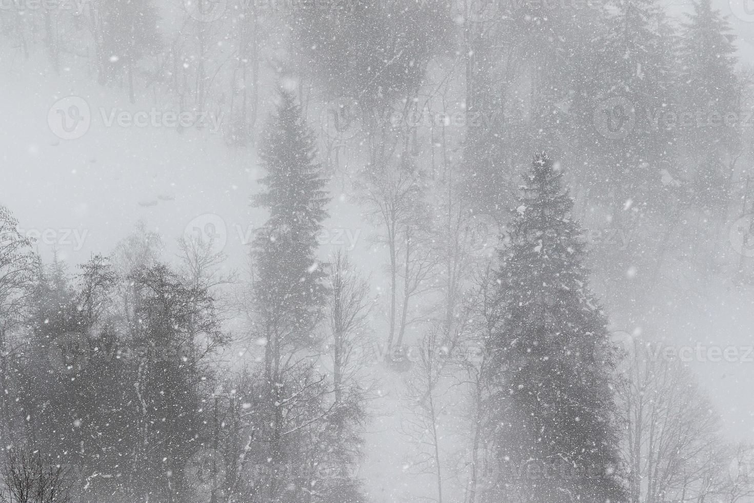 winter landscape in Austrian Alps photo