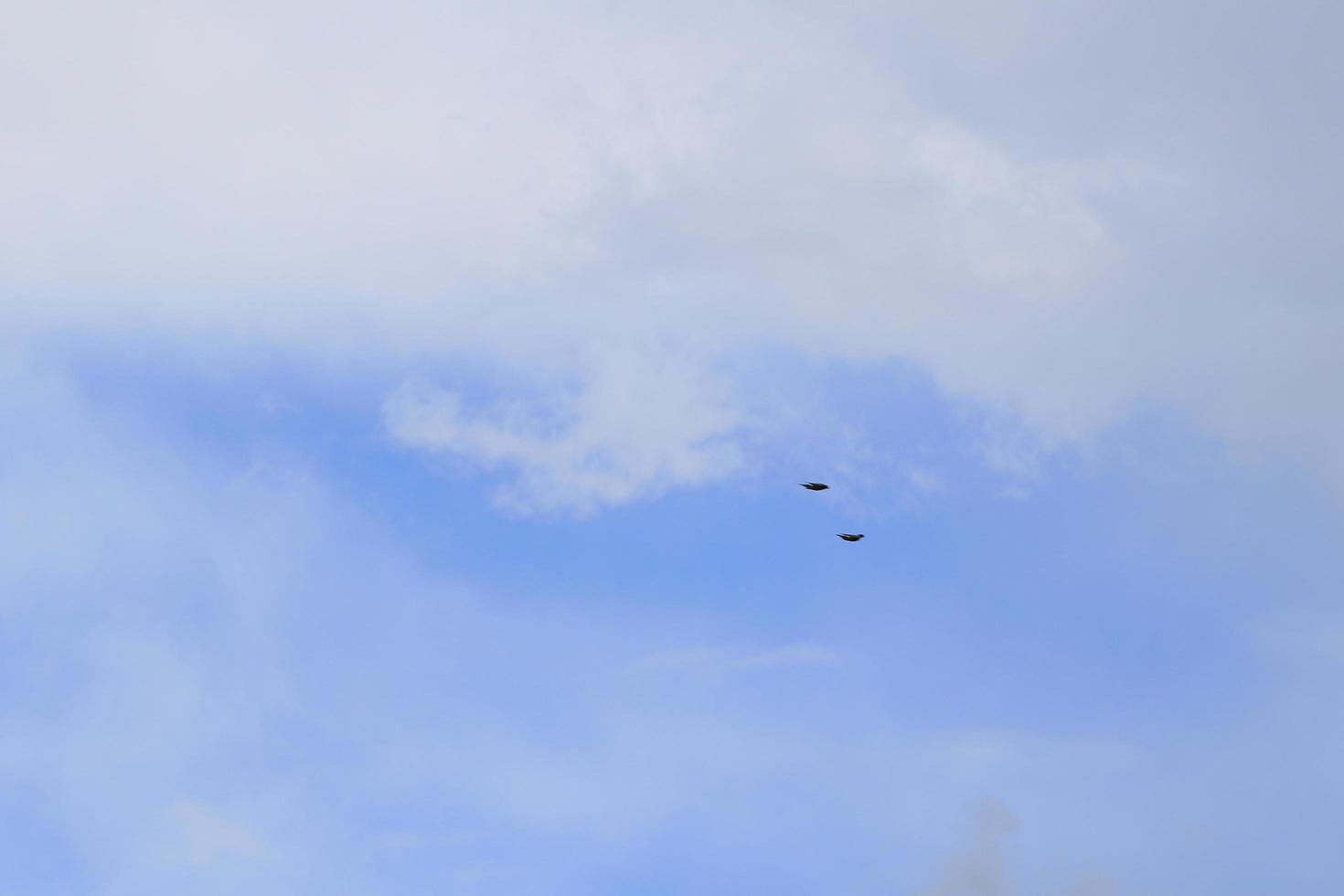 Clear blue sky and white clouds photo