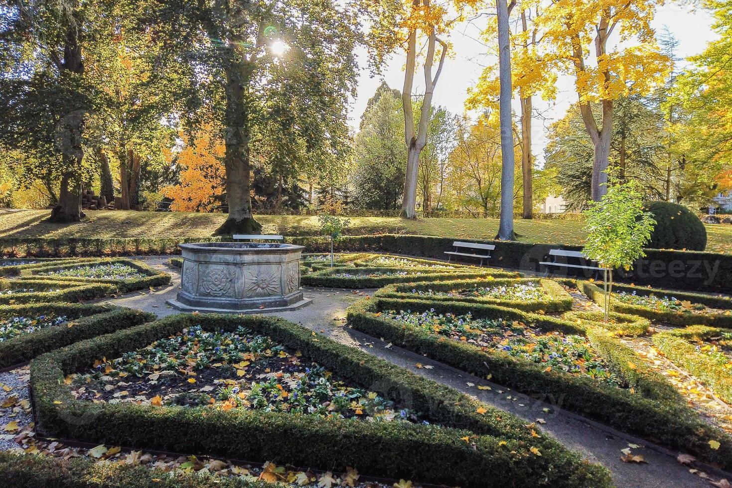 Autumn leaves and trees in the park photo