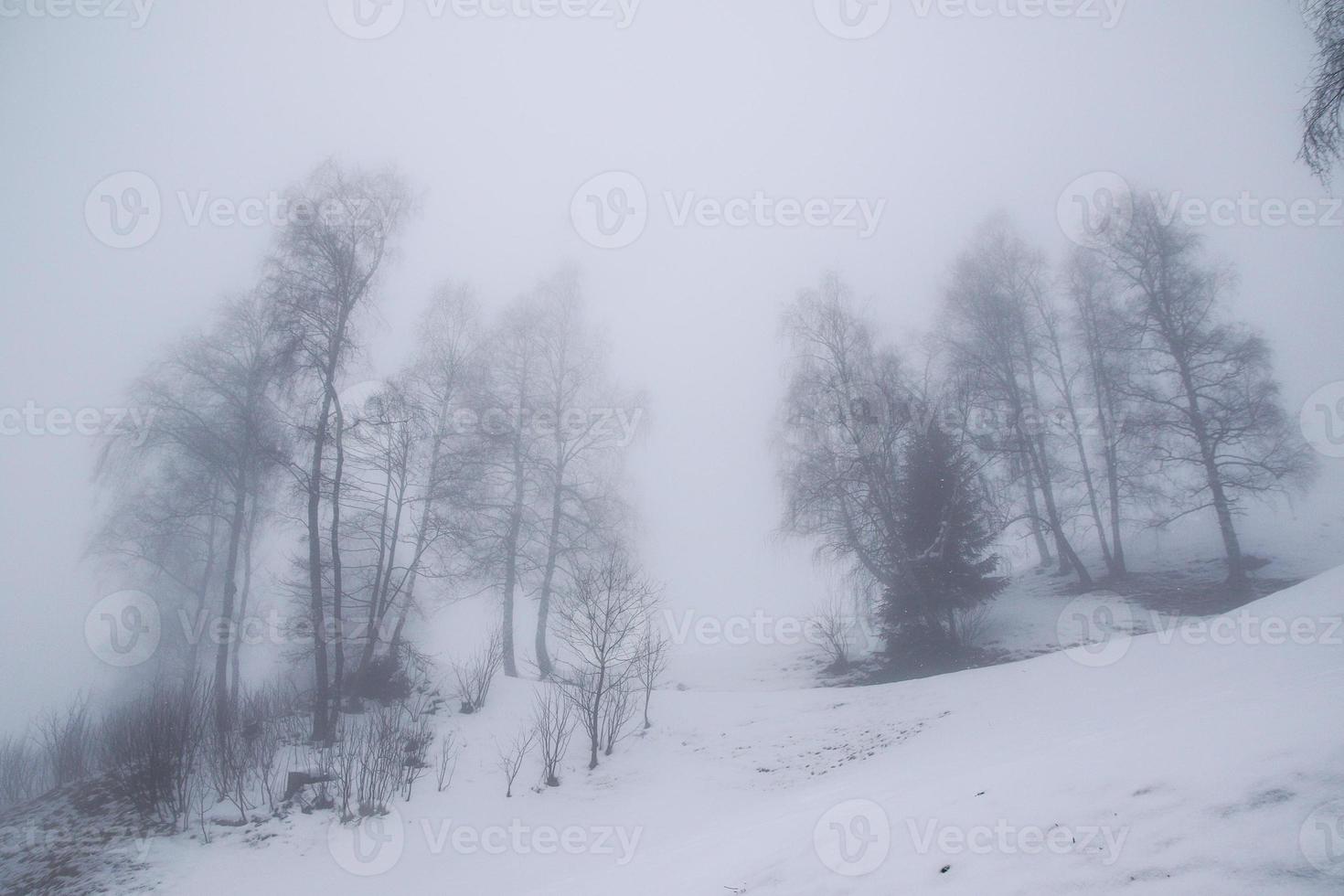 winter landscape in Austrian Alps photo