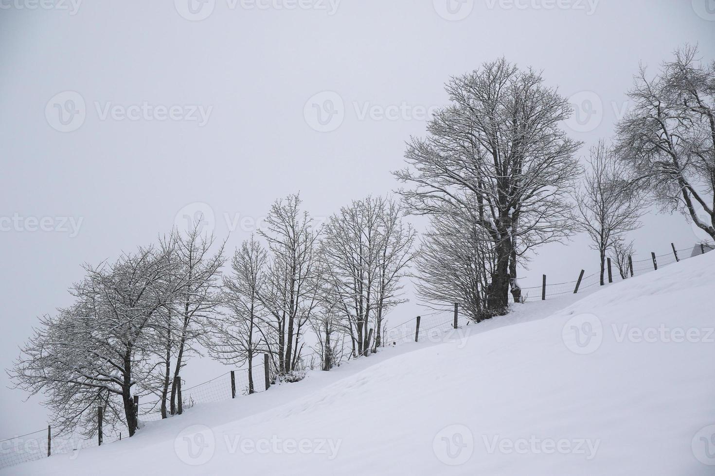 paisaje invernal en los alpes austríacos foto