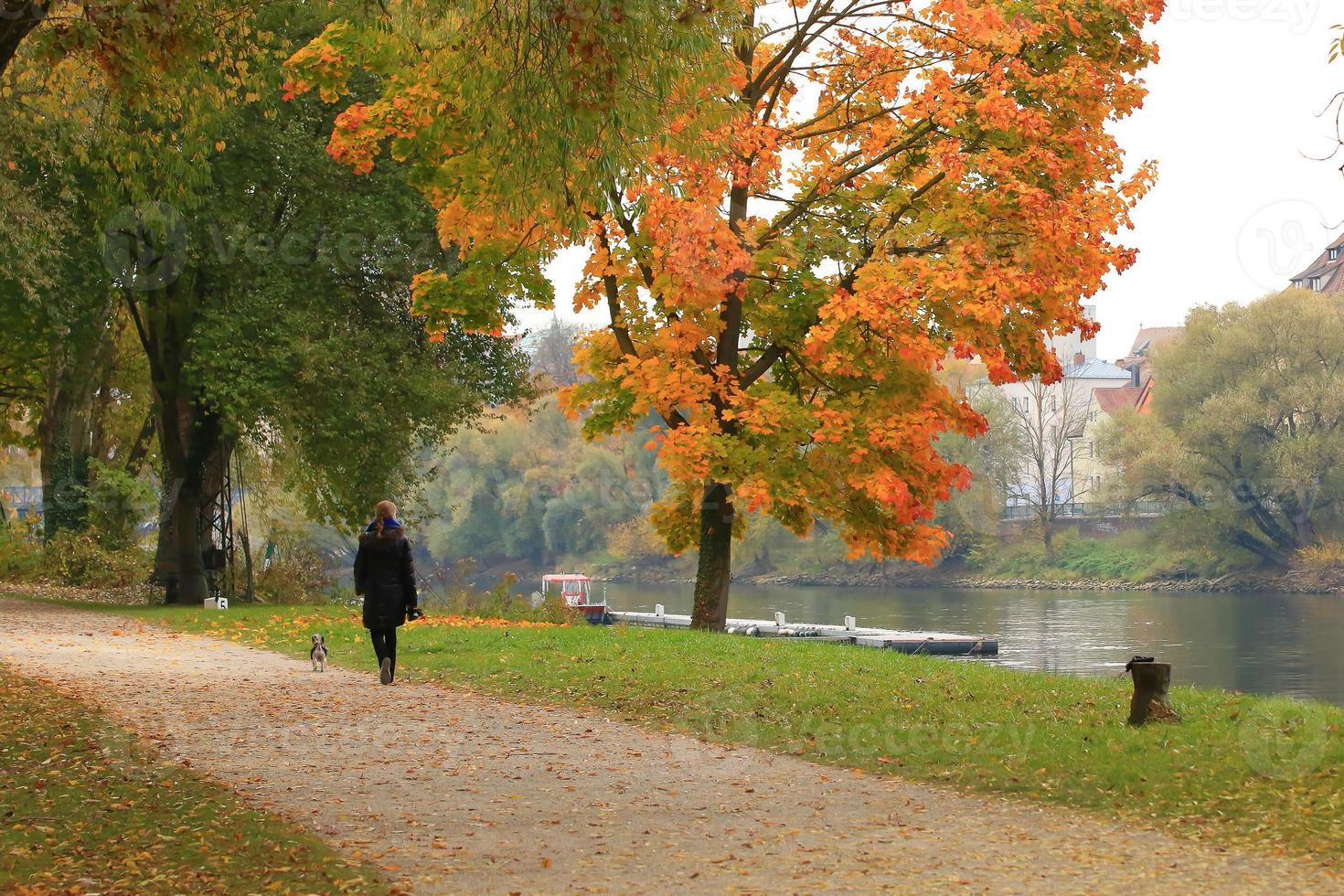 Happy young woman walking with her dog in park photo