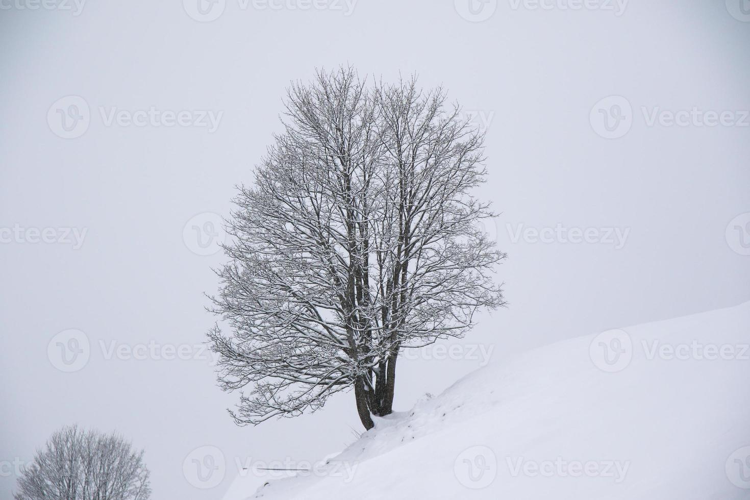 Winter landscape in Austrian Alps photo