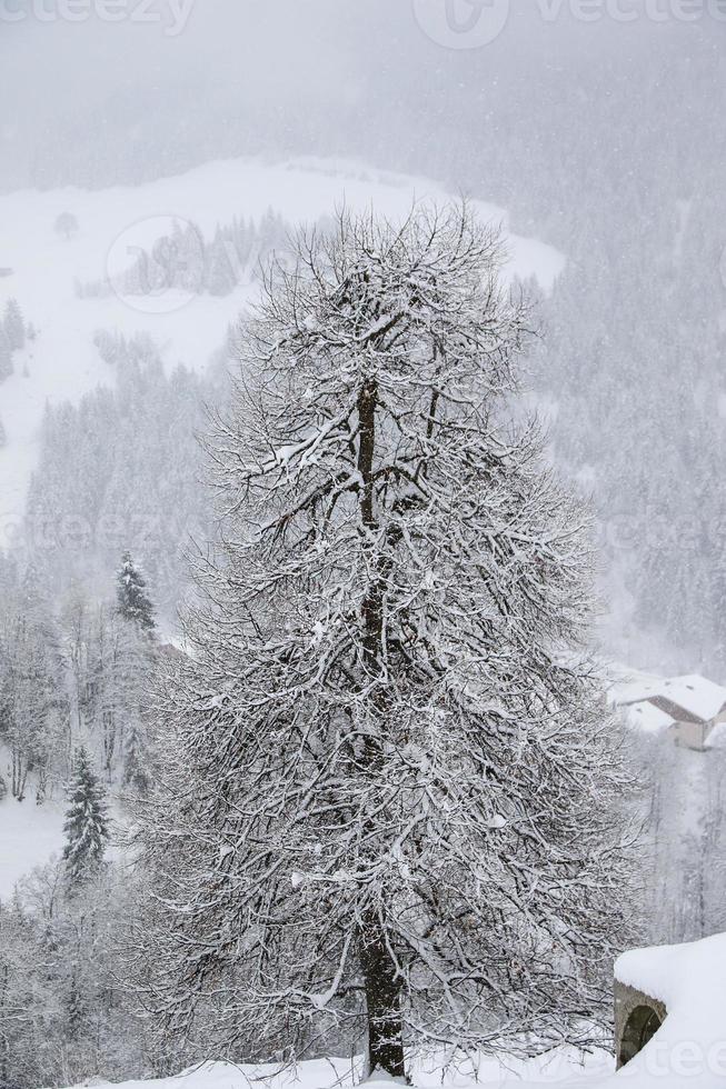 Winter landscape in Austrian Alps photo