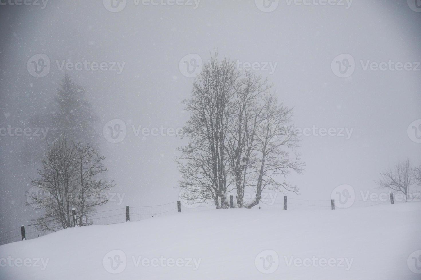 paisaje invernal en los alpes austríacos foto