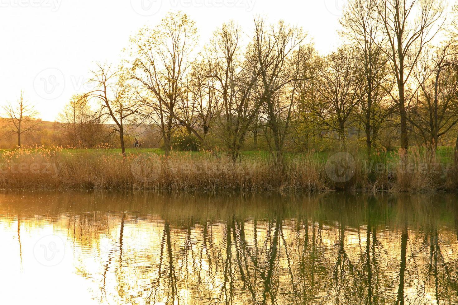 la gente está montando en bicicleta en un camino rural al atardecer a lo largo del río danubio en regensburg, alemania, europa. foto