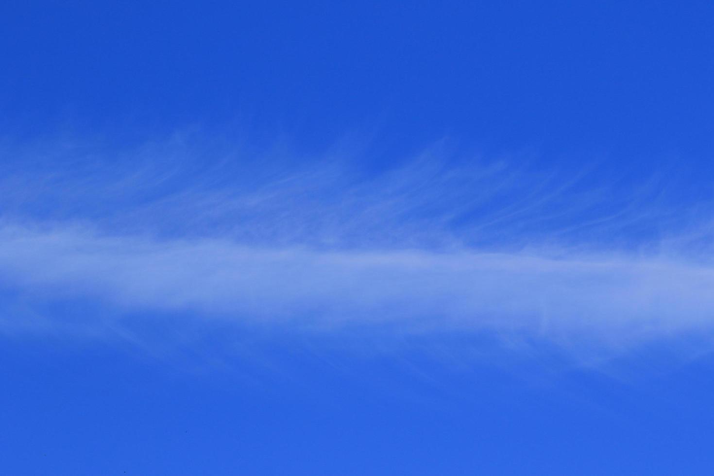 Clear blue sky and white clouds photo