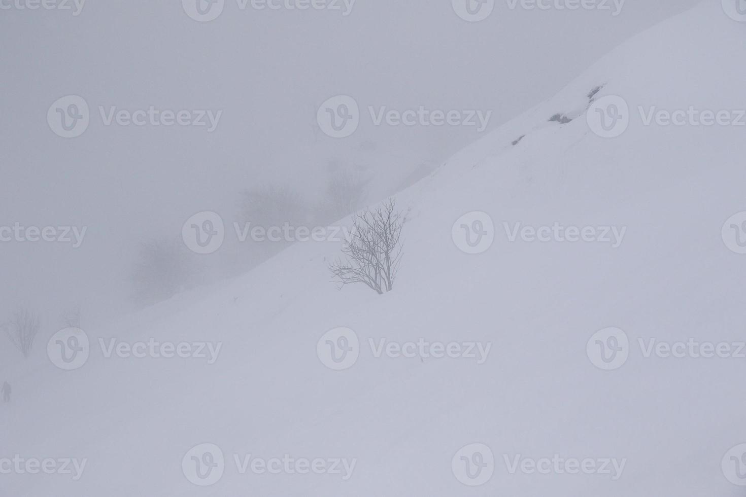 winter landscape in Austrian Alps photo