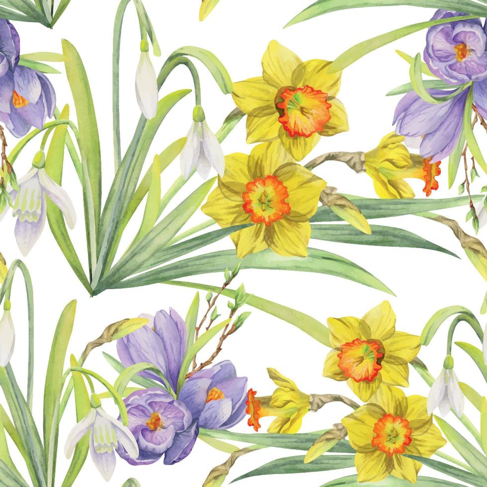 Watercolor hand drawn seamless pattern with spring flowers, daffodils, crocus, snowdrops. Isolated on white background Design for invitations, wedding, greeting cards, wallpaper, print, textile vector