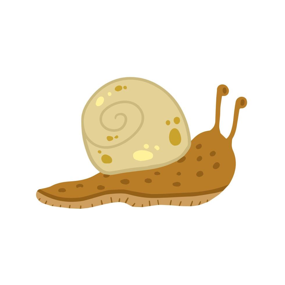 caracol con concha. pequeño insecto marrón. animal lento y viscoso del bosque. vector