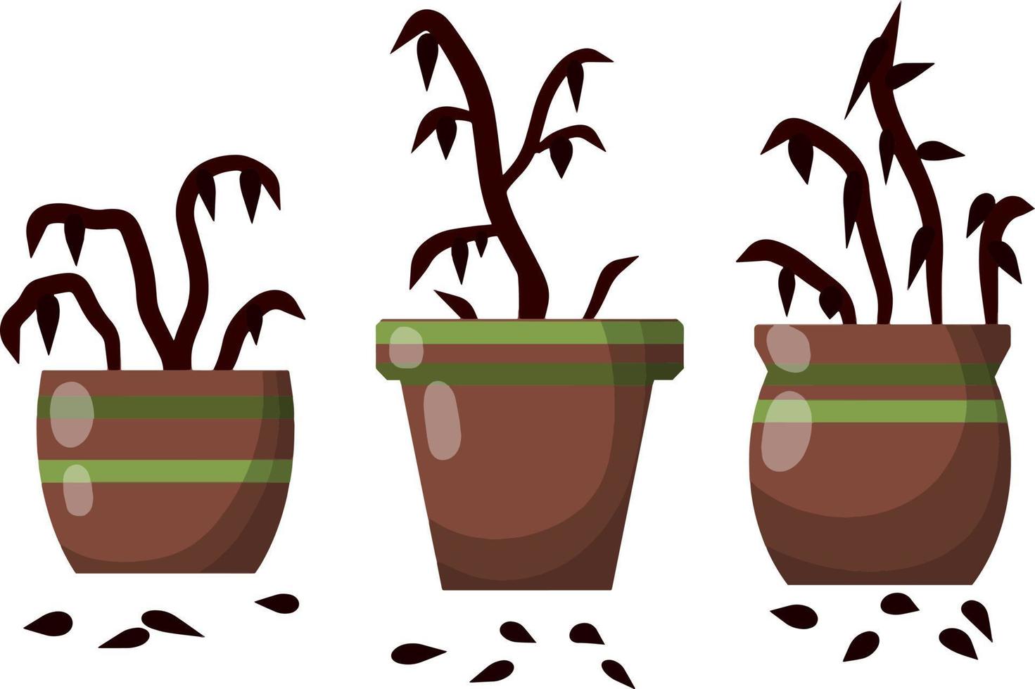 Dead houseplant. Dry leaves. Set of plants in pot. Forgotten bush. Element of room. Brown trunk. Cartoon flat illustration vector