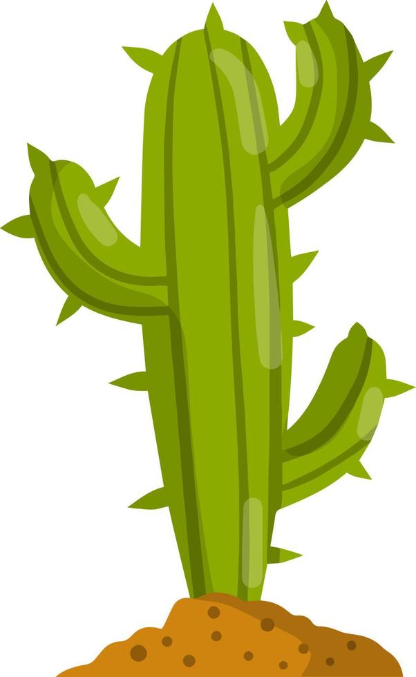 Cactus in the desert. Big Mexican plant. Green succulent. Element of southern tropical summer landscape. Flat cartoon illustration vector