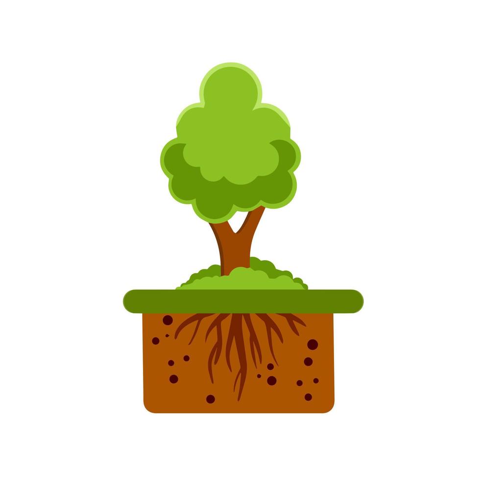 sistema de raíces del árbol. naturaleza y bosque. capa de tierra y suelo. crecimiento de la planta. temporada de verano. botánica y silvicultura. suelo marrón. ilustración de dibujos animados plana vector