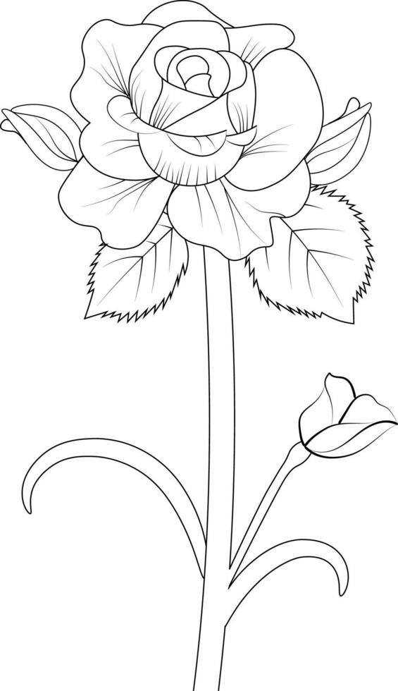 Hand drawn rose line art collection of red roses botanical leaf bud illustration color page vector