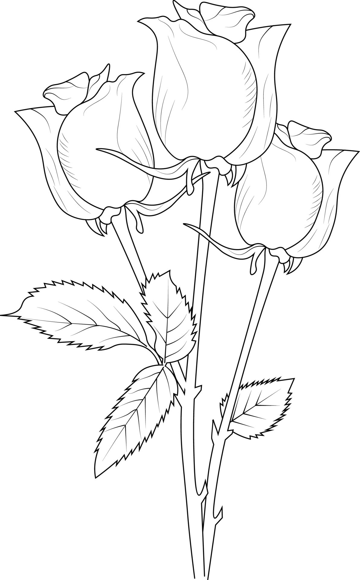 Rose By Hand Drawing Beautiful Flower Stock Vector Royalty Free  1406436758  Shutterstock