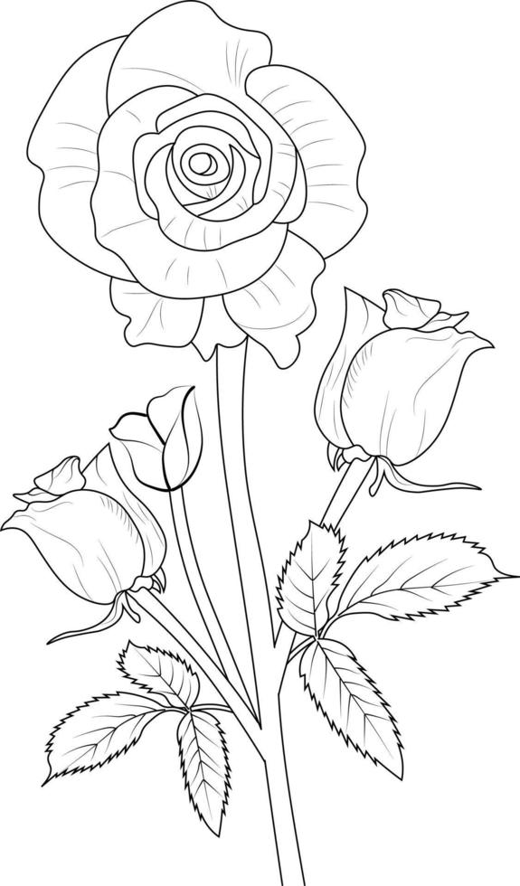 Coloring pages for children, easy sketch art of rese buds, Lovely vector illustration spring flowers with beautiful decoration isolated on white background