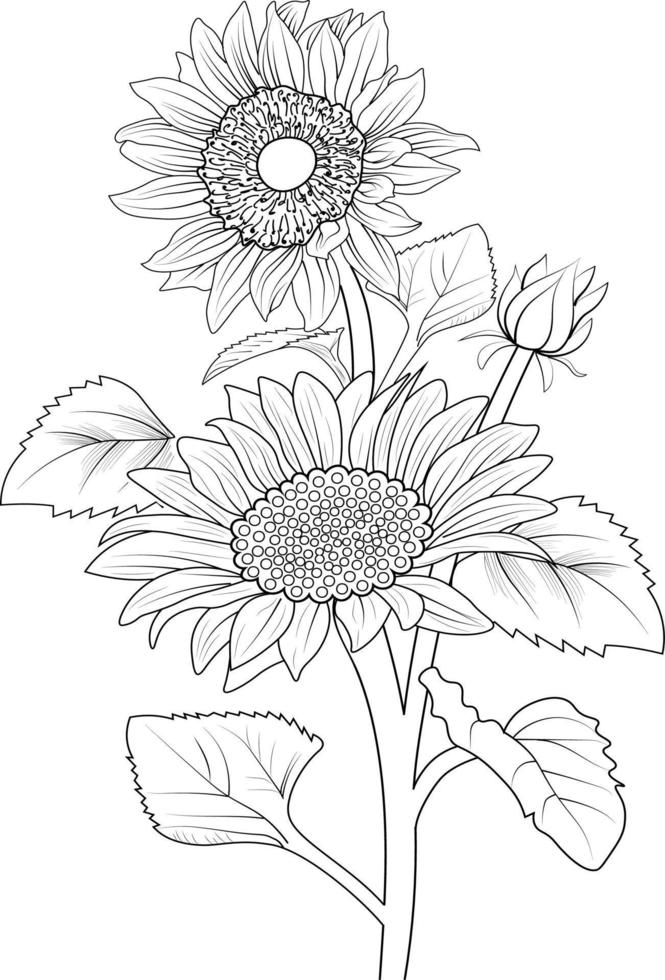 hermoso girasol con hojas línea arte planta rama vector ilustración botánica libros para colorear y página para niños y adultos.