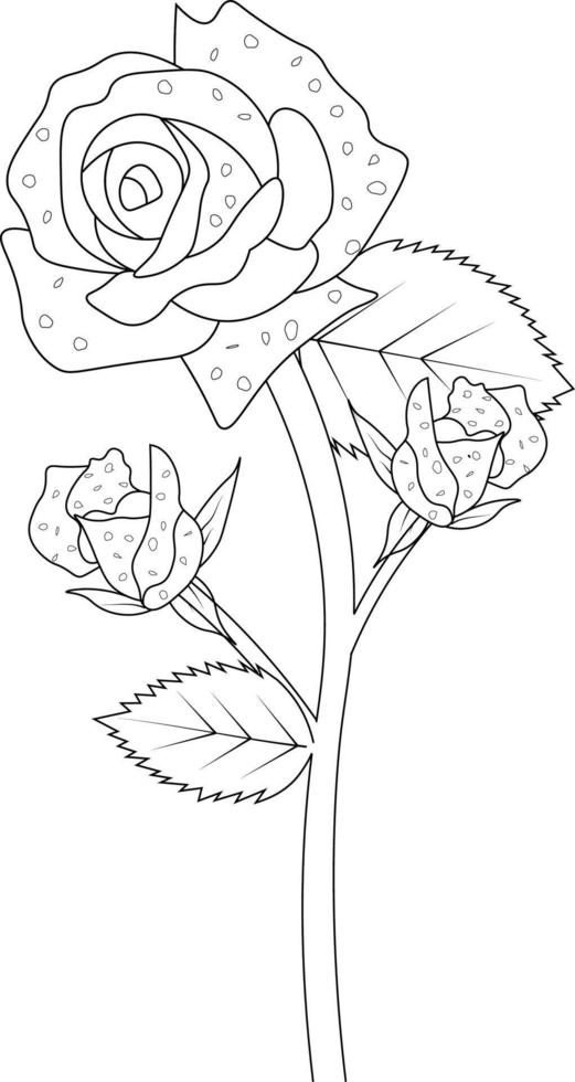 Flowers coloring book,Vector sketch of rose flowers, Hand drawn red roses, collection of botanical leaf bud illustration engraved ink art style. vector
