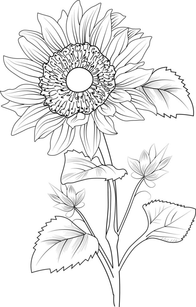 ramo de elementos botánicos de primavera dibujados a mano de página para colorear de arte lineal de girasol vector