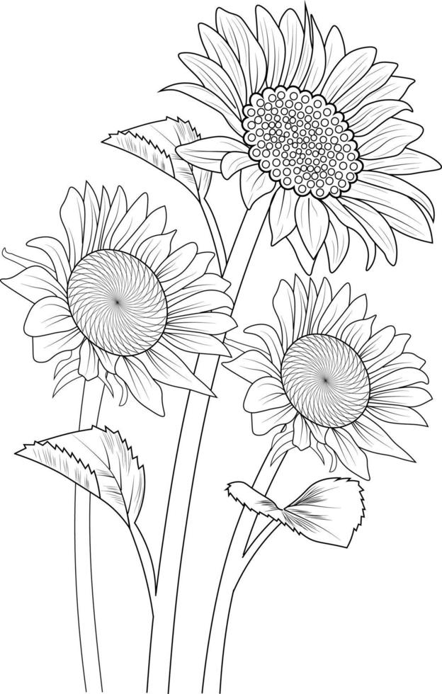  arte de girasol, ilustración vectorial de un ramo de girasoles, en elementos de primavera botánicos dibujados a mano arte de línea de colección natural para colorear página aislada en fondo blanco.