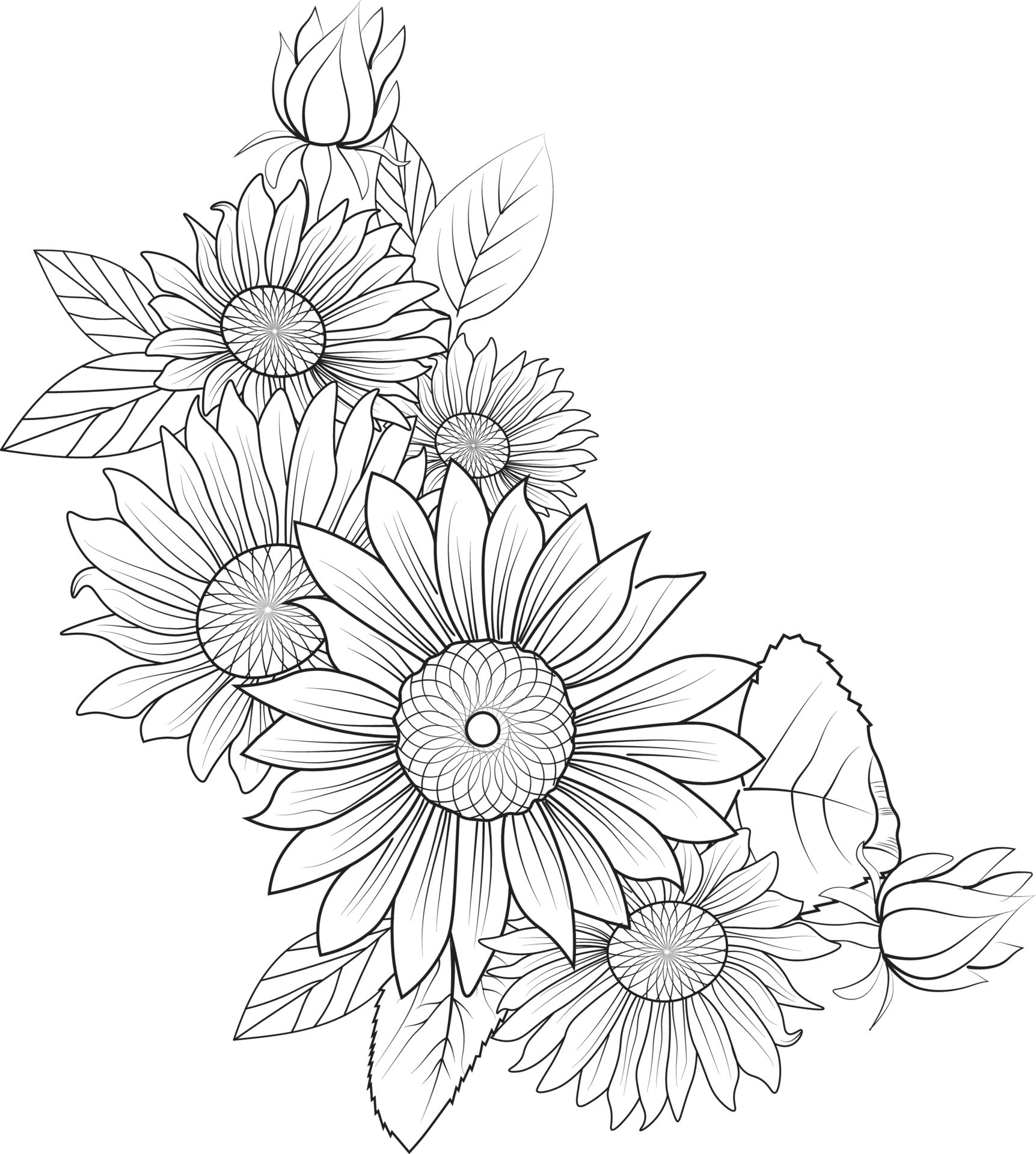 Sunflower drawing Vectors & Illustrations for Free Download | Freepik