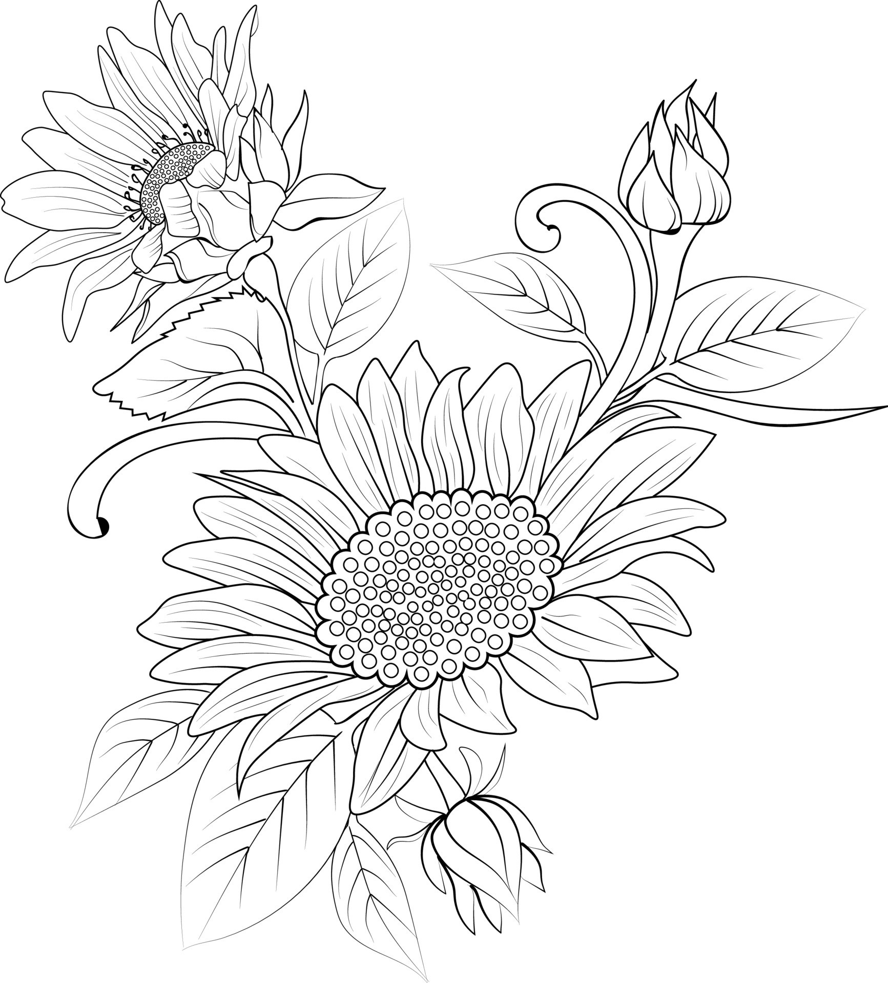 Illustration of a sunflower, vector sketch pencil art, bouquet floral
