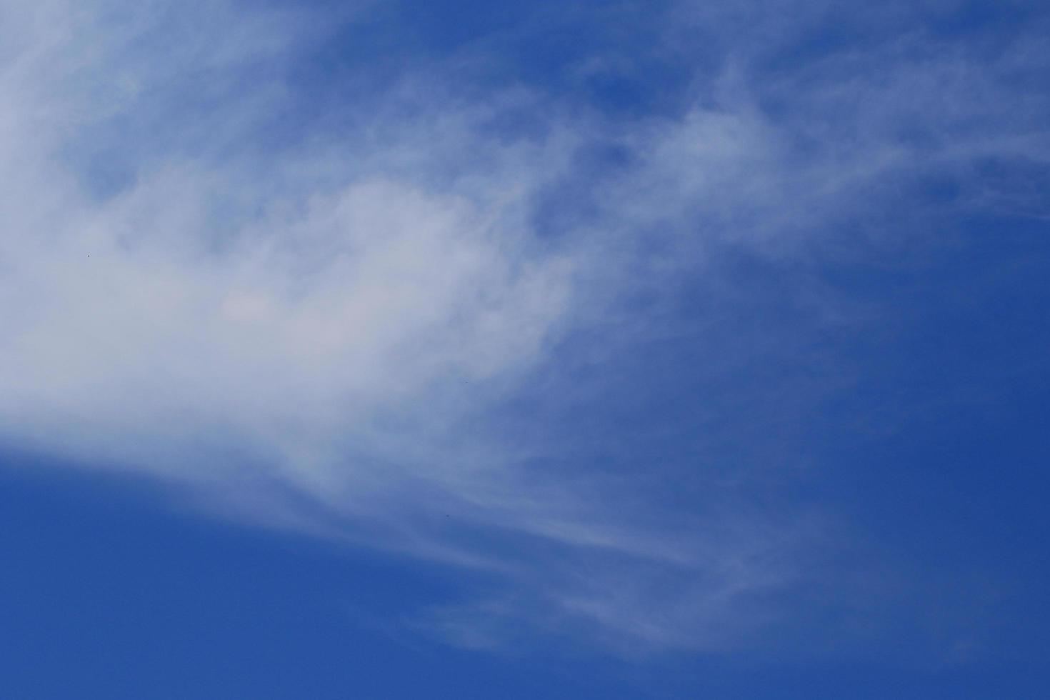 Clear blue sky and white clouds photo
