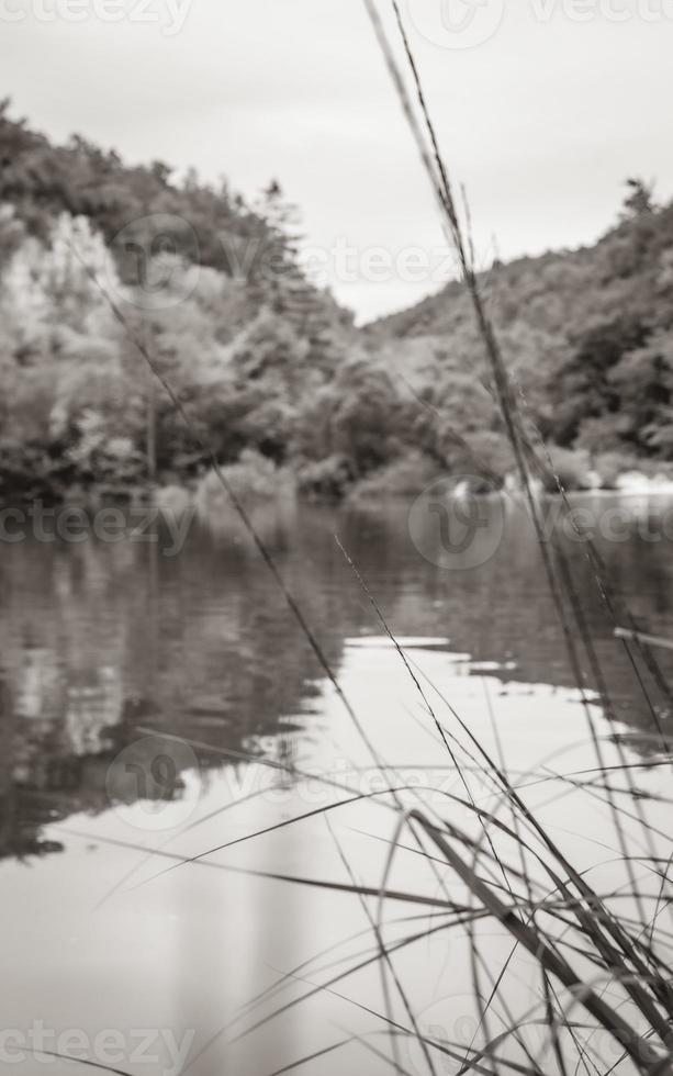 Plitvice Lakes National Park grass in front turquoise water Croatia. photo