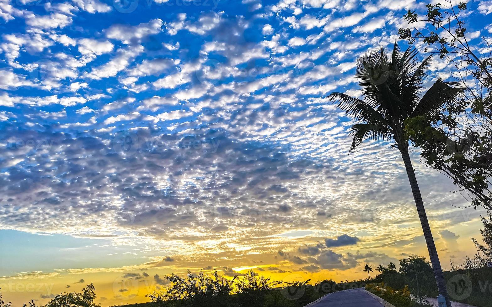 Beautiful colorful sunrise with shady palm trees in Mexico. photo