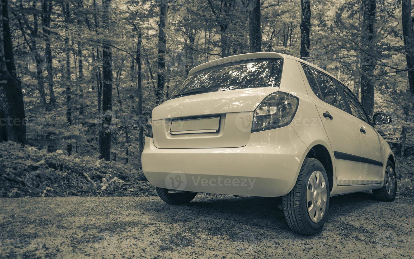 White car parked in green forest nature landscape. photo