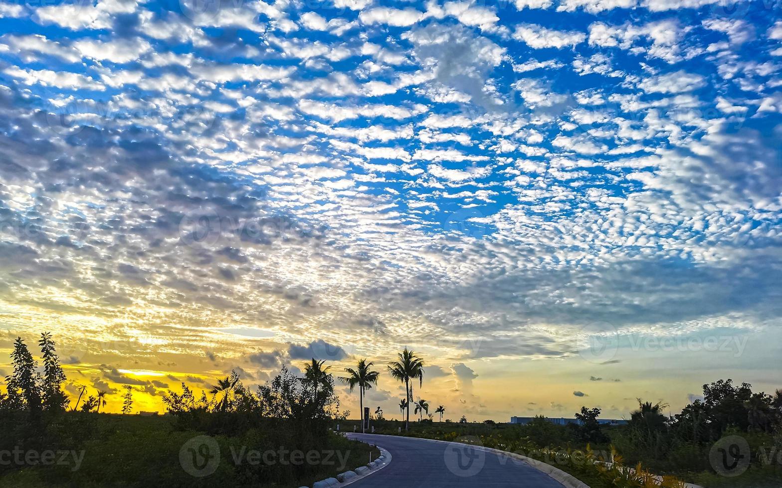 Beautiful colorful sunrise with shady palm trees in Mexico. photo