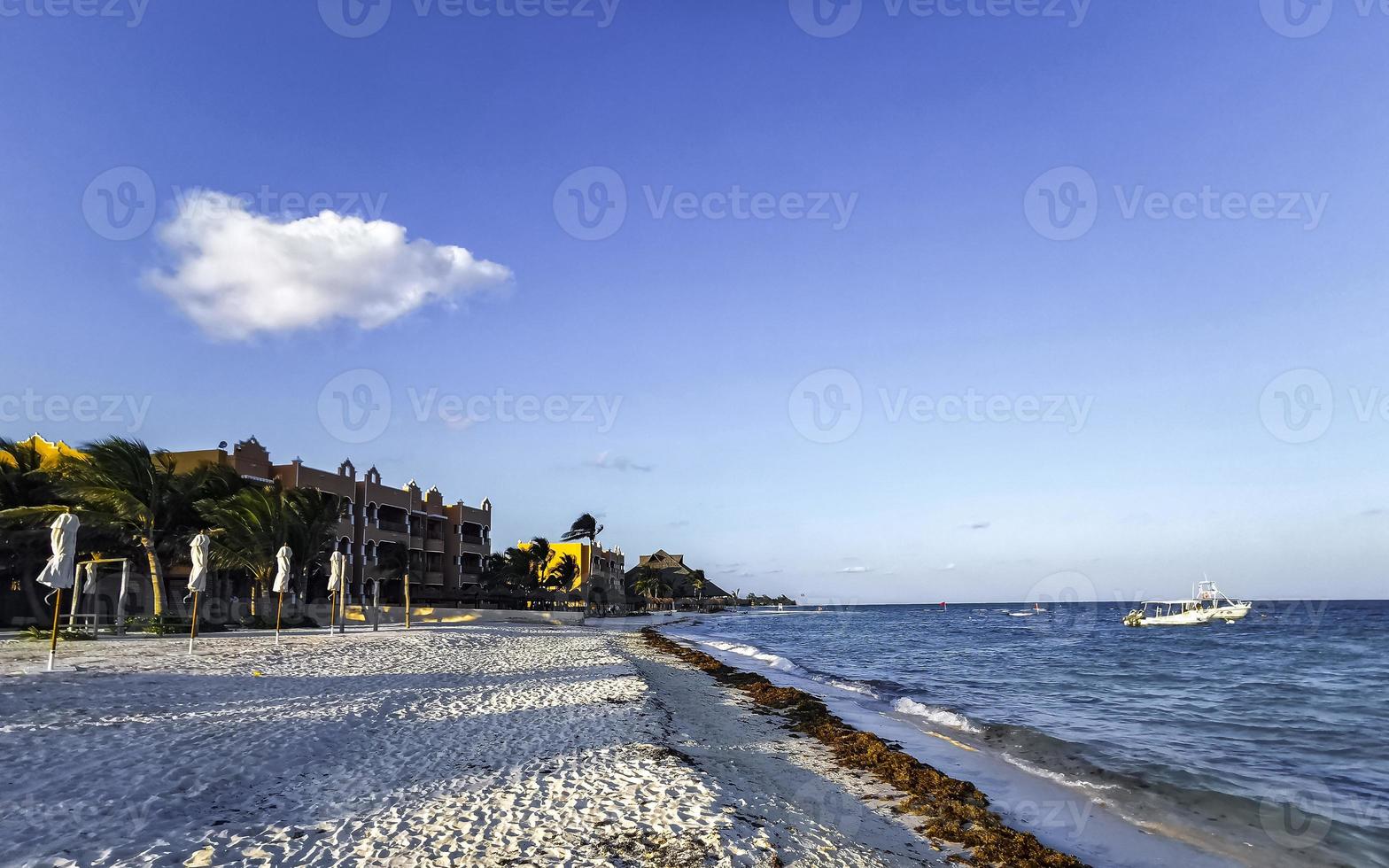 Tropical Caribbean beach water seaweed sargazo Playa del Carmen Mexico. photo