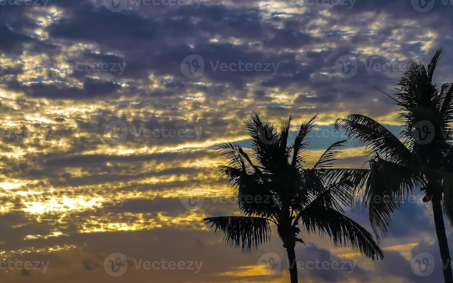 Beautiful colorful sunrise with shady palm trees in Mexico. photo