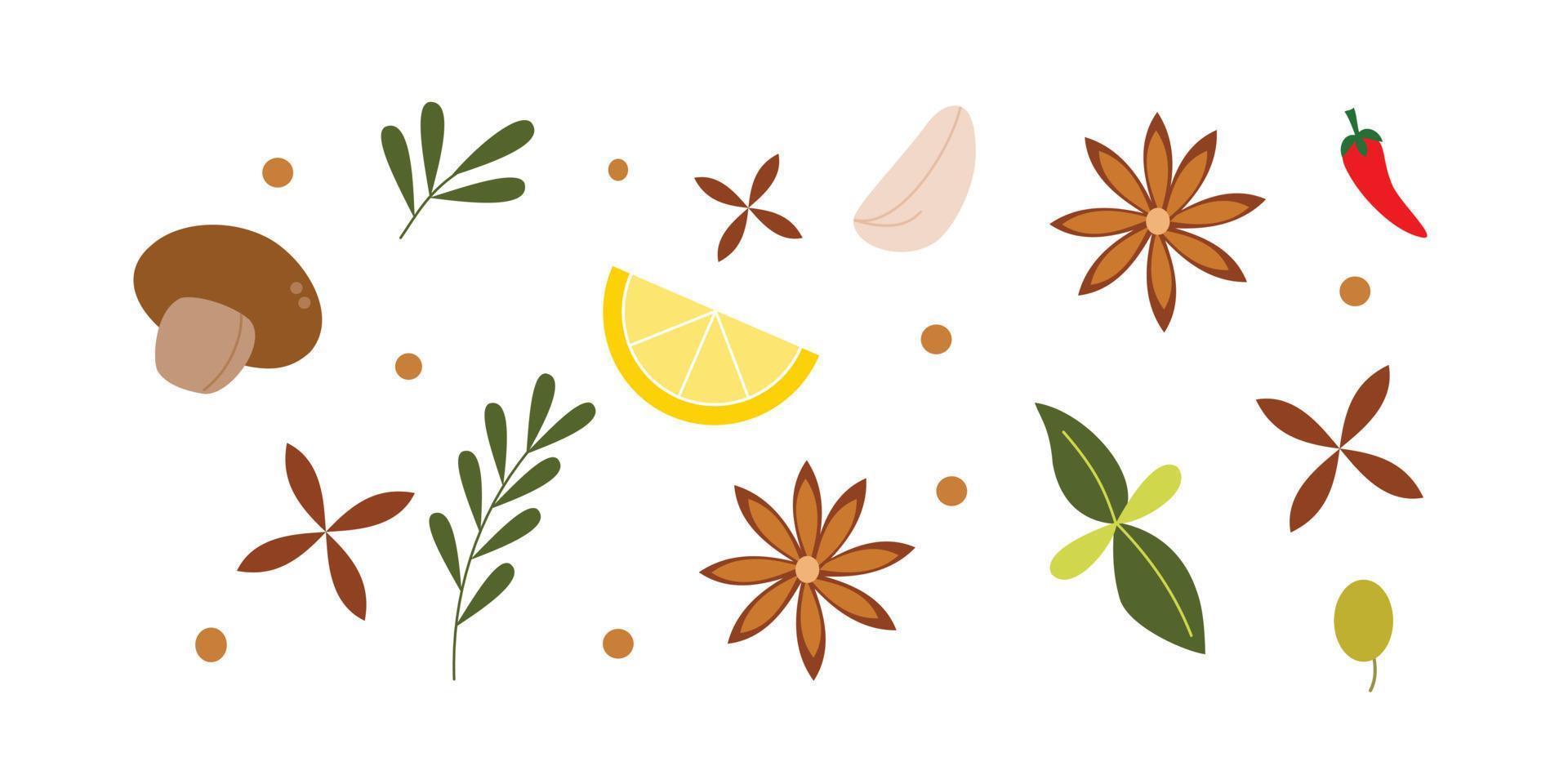 Set of kitchen spices illustration for design element vector